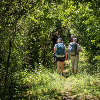 14 juin 2026 - Rando journée à Phaffans